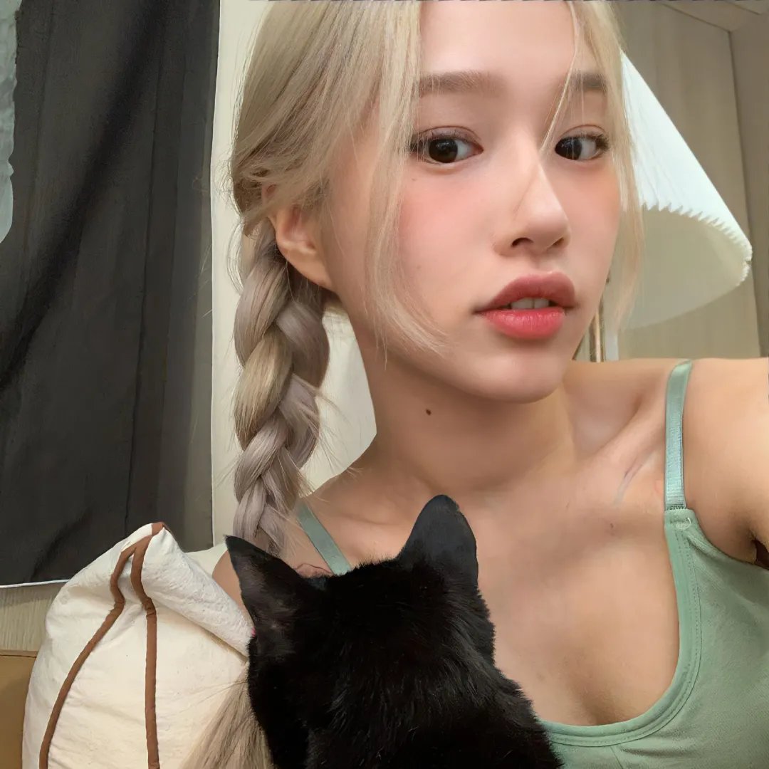 猫狗大战3：爪爪集结！