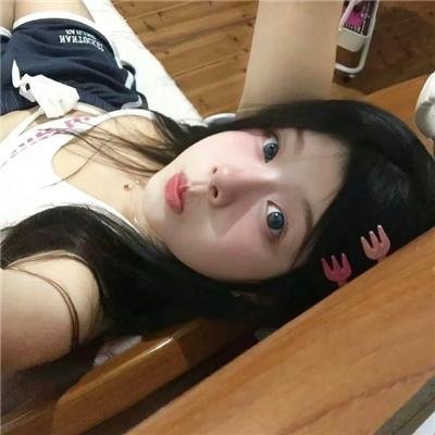 爱犬情深